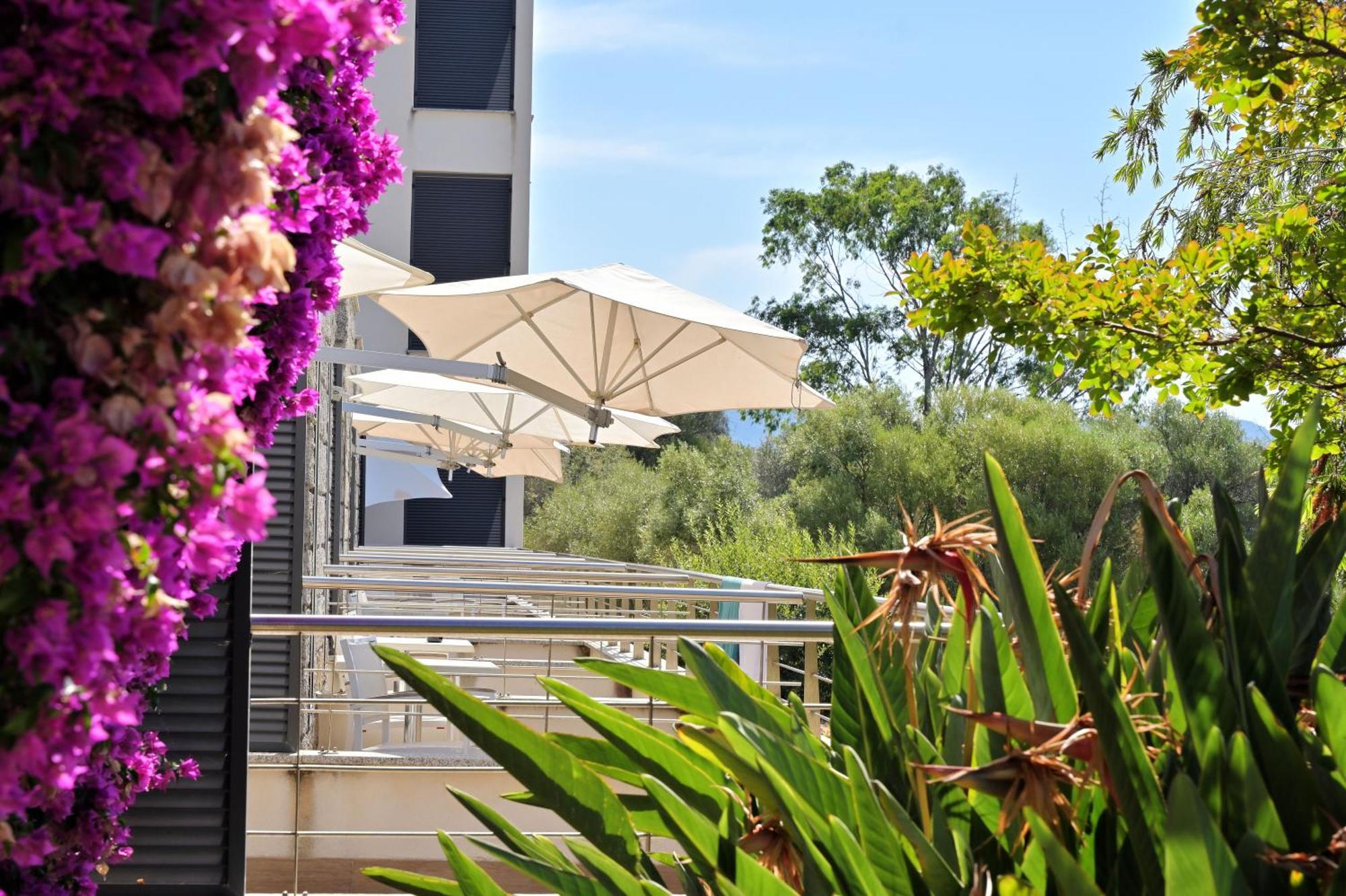 Hotel Les Eucalyptus Porto Pollo Zewnętrze zdjęcie